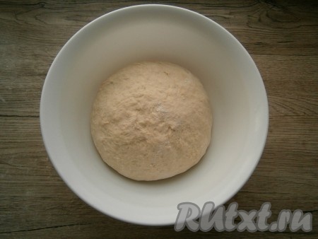 Замесить гладкое, нежное, не липнущее тесто и поместить его в миску, смазанную растительным маслом.
