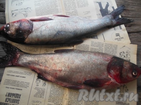 Подготовьте продукты для приготовления сагудая из толстолобика.