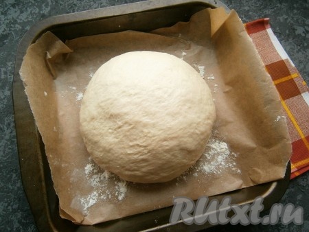 Далее тесто обмять (без муки, смазывая руки растительным маслом), сформировать шар и поместить его на противень, застеленный пергаментом и чуть присыпанный мукой.