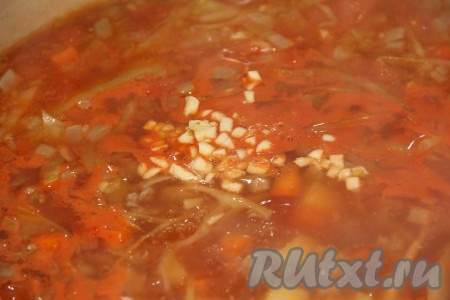 В конце варки добавить соль по вкусу, специи, очищенный и мелко нарезанный чеснок, потомить суп в течение 3 минут на небольшом огне, а затем снять с огня.
