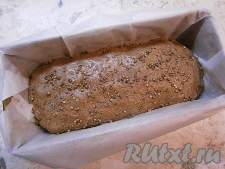 Тесто обмять и поместить в форму, смазанную растительным маслом и застеленную пергаментом. Размер моей формы 26х12 см. Посыпать тесто сверху зернами кориандра и тмина, чуть вдавливая их. Прикрыть тесто пленкой и оставить в тепле на 2-3 часа. Выпекать хлеб 15 минут в разогретой до 220 градусов духовке с паром (поставить миску с горячей водой на низ духовки). После чего температуру уменьшить до 190 градусов и убрать воду. Выпекать хлеб еще около 50-60 минут.