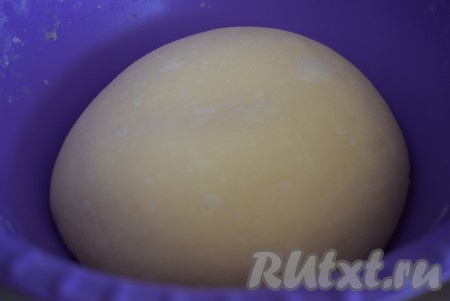 Оставляем тесто на расстойку на 1,5 часа в теплом месте, прикрыв миску полотенцем или пленкой.