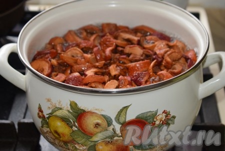 Для начала приготовим начинку, для этого сушеные яблоки переберем, промоем, выложим в кипящую воду и проварим на сильном огне 3-5 минут, затем уменьшим огонь и будем варить яблоки на слабом огне, примерно, 15 минут (до тех пор, пока яблоки не напитаются влагой), затем добавим сахар по вкусу. Далее дадим закипеть отвару и выключаем огонь, накрываем кастрюлю крышкой и даём яблочкам остыть.
