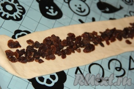 Изюм предварительно обдать кипятком. Выложить изюм на третью полоску из теста и сформировать третью "колбаску".
