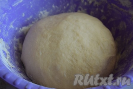 Замесим тесто. Тесто получится гладким, однородным, воздушным, оно не будет липнуть к рукам. Кладем тесто в миску, накрываем пленкой и ставим в теплое место без сквозняков на 1-1,5 часа.

