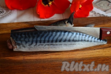 Далее нужно удалить хребетную кость, для этого делаем надрез острым ножом по спинке рыбы с одной из сторон хребта и отделяем филе.
