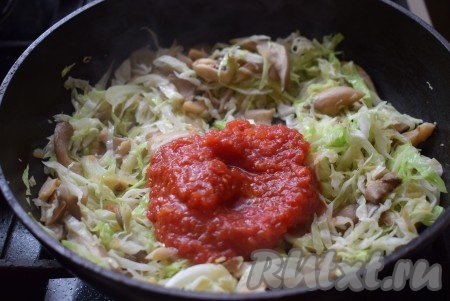 Солим и перчим наше блюдо, добавляем специи по вкусу, томатную пасту (или домашний томат), продолжаем тушить на медленном огне, примерно, 5-7 минут.
