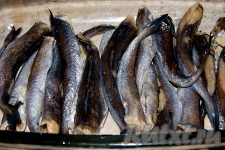 Рыбу чистим, моем, укладываем  в форму, смазанную растительным маслом.