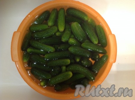 Огурцы замочим в холодной воде на 2-3 часа (можно до 5 часов).
