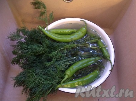 Моем укроп и острый перчик.
