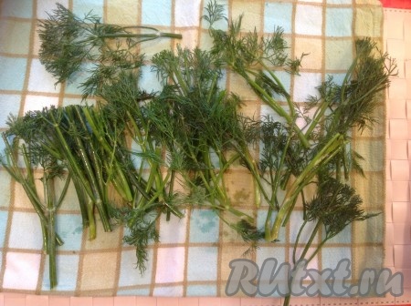 Отрезаем стебли укропа, они потребуются при мариновании огурцов.
