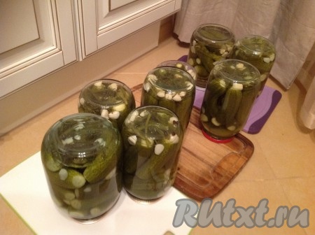 Через сутки снимаем тёплое покрывало, огурчики уже практически остыли.
