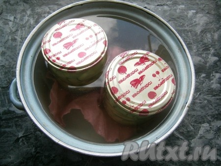 Банки с огурцами накрыть крышками и поместить в кастрюлю с тёплой водой (на дно кастрюли предварительно выложить тряпочку или салфетку). Поставить кастрюлю с баночками на средний огонь, довести воду в кастрюле до кипения, затем стерилизовать салат около 15 минут.
