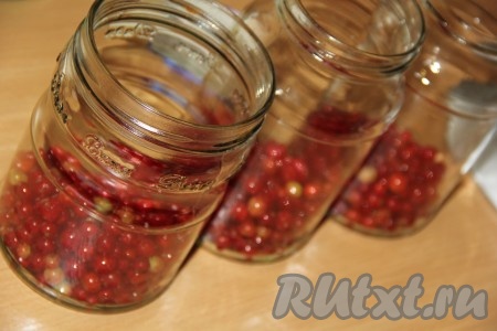 Банки предварительно хорошо вымыть и простерилизовать. Я стерилизую банки в посудомойке. Разложить красную смородину по банкам (я разложила в 3 литровые банки) так, чтобы количество ягод было, примерно, одинаковым в каждой баночке.&nbsp;
