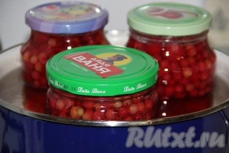 В кастрюлю подходящего размера влить горячую воду, на дно кастрюли поместить хлопчатобумажное полотенце (полотенце нужно для того, чтобы банки с компотом не лопнули в процессе стерилизации). Банки с компотом поместить в кастрюлю (вода в кастрюле должна покрывать банки до "плечиков"), поставить на средний огонь. Когда вода в кастрюле закипит, стерилизовать банки с компотом 15 минут.
