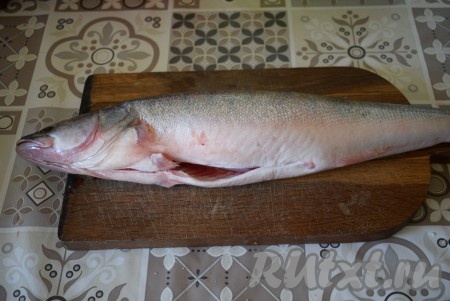 Судака промоем под холодной водой, очистим его от чешуи, выпотрошим, обрежем плавники и хвост.
