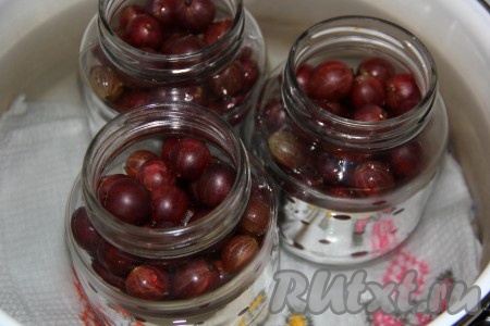 Банки предварительно вымыть. Выложить ягоды в банки, заполняя их до самого верха (часть ягод сразу не войдёт в банки, мы их будем использовать в дальнейшем). На дно кастрюли выложить хлопчатобумажное полотенце (можно сложить его в 2-3 раза), налить тёплую воду. Поставить в кастрюлю баночки с ягодами (вода в кастрюле должна доходить до "плечиков" банок), отправить на средний огонь.
