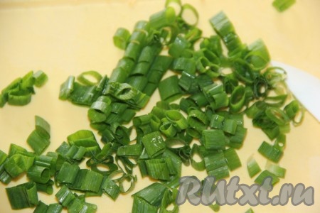 Пучок зелёного лука вымыть и нарезать.
