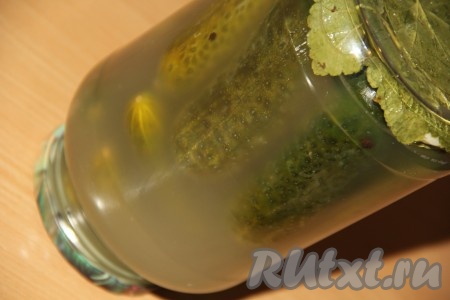 Залить огурцы в банке горячим рассолом, закрутить (или закатать) предварительно прокипячённой крышкой и перевернуть кверху дном. Укутать баночку с огурцами в одеяло и оставить до полного остывания, а затем убрать в кладовку (или погреб).&nbsp;
