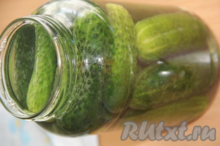Залить огурцы солёной водой до самого края банки. Возможно, что вам не хватит 1 литра воды, в которой вы растворили соль, тогда долейте в банку до самого верха чистую родниковую (или фильтрованную) воду. Верх банки прикрыть крышкой (или блюдцем) и оставить огурцы кваситься на кухонном столе на 3 суток. 
