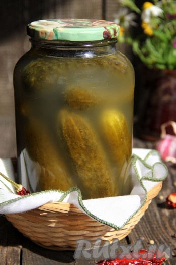 Вот так банки с огурчиками выглядят первые две недели, а затем рассол станет кристально прозрачным. Огурцы, приготовленные холодным посолом, получаются хрустящими и очень вкусными. Если вы любите бочковые огурчики, значит вам этот рецепт точно понравится. Зимой такие огурцы станут отличным дополнением ко многим блюдом и точно порадуют своим вкусом! 