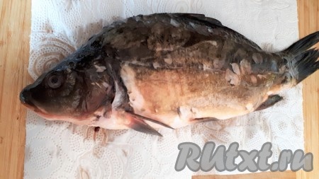 Очистить карпа от чешуи, удалить жабры и внутренности, а затем хорошо промыть.
