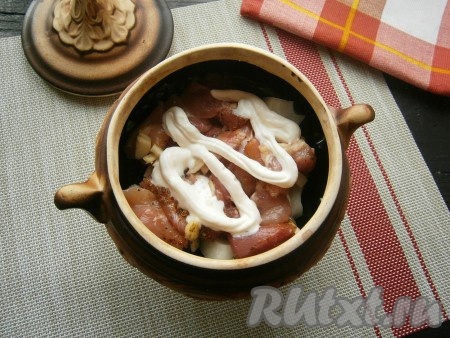 Репчатый лук нарезать произвольно, половину лука выложить на грибы, а сверху разместить всё куриное мясо. Смазать 1 столовой ложкой майонеза.
