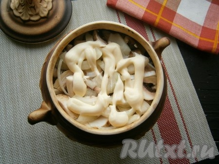 Следующим слоем выложить оставшиеся шампиньоны, затем равномерно распределить оставшийся лук и смазать 2 столовыми ложками майонеза.

