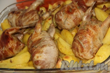 Запекать перепелов в беконе в разогретой духовке 1 час при температуре 220 градусов.
