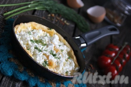 Подать яичницу с творогом в горячем виде, по желанию, присыпать свежей зеленью. Очень вкусно, всем советую!
