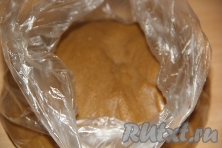 Положить тесто в пакет (или завернуть в пищевую плёнку) и поместить в холодильник минимум на 4 часа. Я оставила тесто в холодильнике на ночь, а на следующий день готовила пряники.
