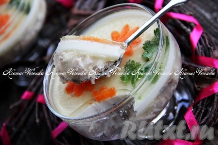 Вот такое красивое заливное из курицы с майонезом и желатином получилось. Нежный вкус этого блюда понравится многим!
