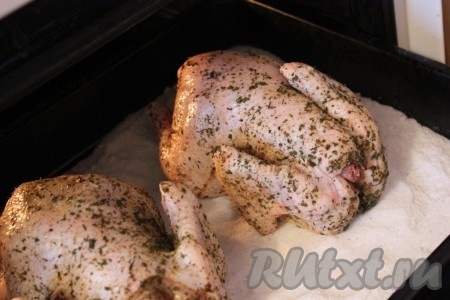 Положить курицу на соль и отправить в разогретую духовку.
