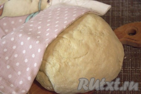 Готовое тесто скатать в шар, накрыть&nbsp;полотенцем (или плёнкой), поставить в тёплое, без сквозняков место на 1-1,5 часа. За это время тесто должно увеличиться в объёме в два раза.
