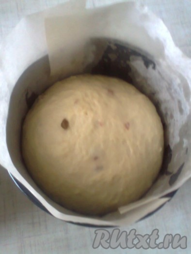 Металлические формы выстилаем пергаментной бумагой. Можно использовать бумажные или силиконовые формы. И ставим в тёплое место на полтора-два часа (до увеличения объёма в 2-3 раза).
