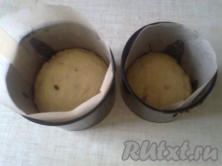 Раскладываем готовое тесто в формы, заполняя их на 2/3 объёма.
