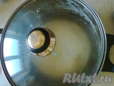 Смажьте посуду и тесто 1 столовой ложкой растительного масла и, накрыв посуду с тестом крышкой (или полотенцем), оставьте в тепле на 1 час.