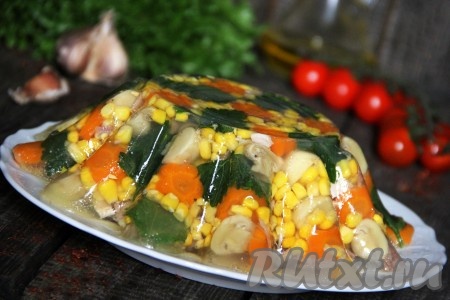 Форму с застывшим заливным перевернуть на плоскую тарелку и аккуратно снять форму. Если заливное не отойдёт от формы, накройте форму горячим полотенцем и тогда заливное с лёгкостью отсоединится. Заливное из курицы с овощами получается очень красивым, ярким, сытным и вкусным.