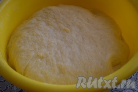 Подошедшее дрожжевое тесто, замешанное на молоке с сухими дрожжами, увеличится в объёме, примерно, в 2 раза, станет лёгким и пышным. Теперь можно приступать к приготовлению пирожков.
