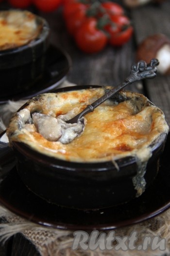 Готовое блюдо подать к столу в горячем виде. Жульен с кальмарами и грибами получается очень нежным, вкусным и сытным, всем советую!
