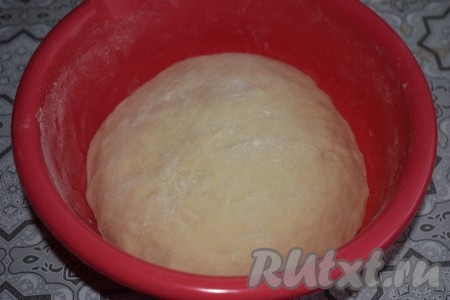 Перемешаем все ингредиенты между собой при помощи ложки. Как только тесто начнёт собираться в ком, начинаем замешивать его руками. Вымешиваем тесто, примерно, 10-12 минут. Оно должно получиться гладким, мягким, не липнущим к рукам. Оставляем наше тесто в тёплом месте на расстойку на 1,5-2 часа, накрыв миску с тестом плёнкой.
