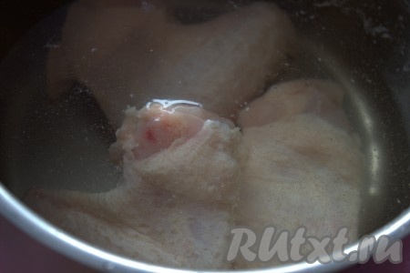 В кастрюлю поместить тщательно вымытые куриные крылья (или любые другие части курицы), залить холодной водой и поставить на огонь. Довести воду до кипения, уменьшить огонь до минимума, снять образовавшуюся пену, затем посолить по вкусу.