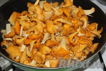 Затем к обжаренному луку выкладываем лисички.
