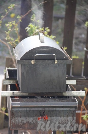 Коптильню, накрыв крышкой, поставить на мангал.
