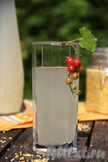 Подать квас из пшена охлаждённым. Вот так просто в домашних условиях можно приготовить вкусный, полезный, освежающий напиток!
