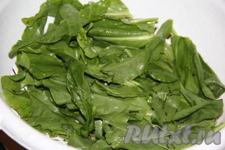 Щавель перебрать и промыть под водой.
