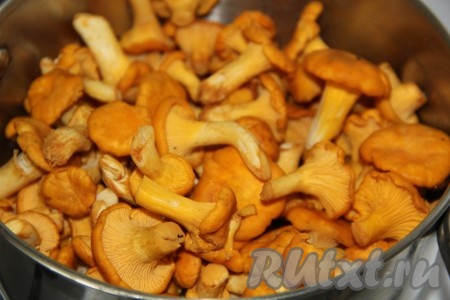 Добавить лисички в кастрюлю.
