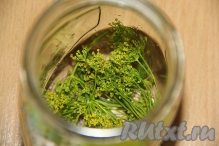 На дно горячей банки выложить зонтик укропа.
