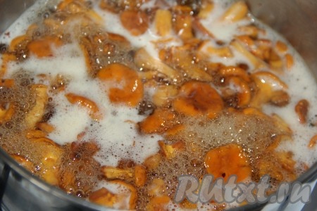 Довести до кипения и варить на небольшом огне 15-20 минут.
