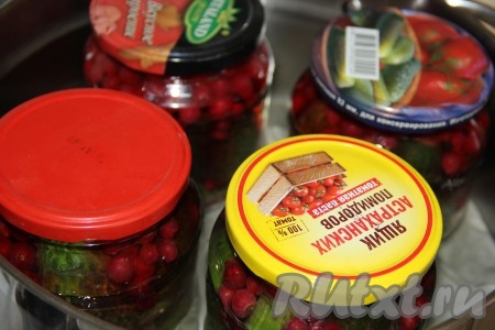 Прикрыть банки с огурцами и смородиной крышками, выставить в кастрюлю, дно которой застелено тряпочкой, сложенной в 2-3 раза (или полотенцем). Влить тёплую воду в кастрюлю, чтобы водичка была по плечики банок. Поставить кастрюлю с баночками на средний огонь.
